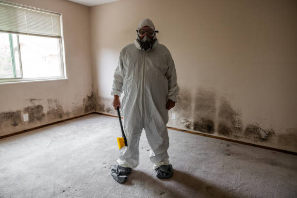 Best Residential Mold Inspection & Testing  in Owens Cross Roads, AL